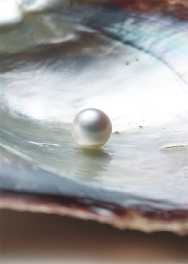 社員インタビューA.K:画像01
